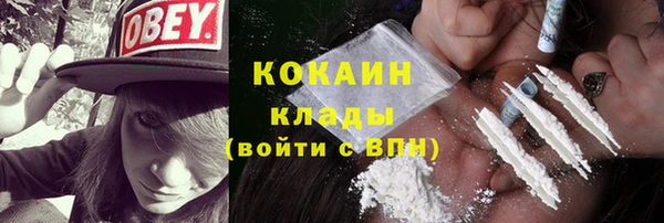 соль ск Арсеньев